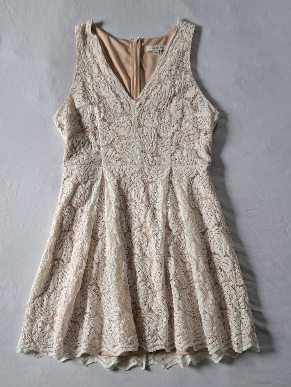 ​Francesca’s Lace Fit-and-Flare Mini Dress V-Neck With White Leaf Overlay Size L